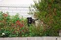 famille_052009_0391 